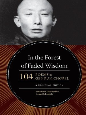 cover image of In the Forest of Faded Wisdom